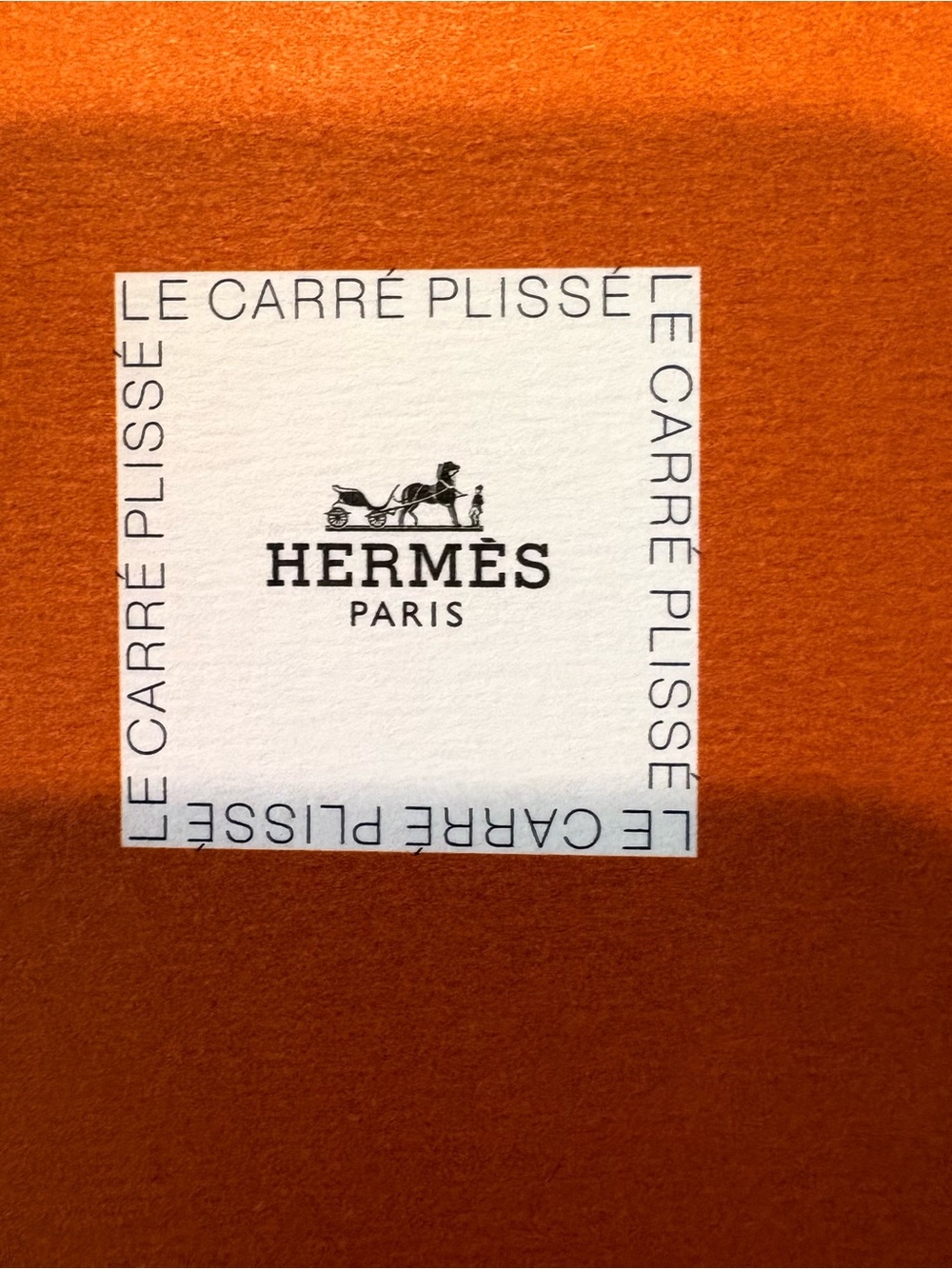 Rare Authentic Hermès Kermit Oliver Plisse Scarf - Picture 11 of 12